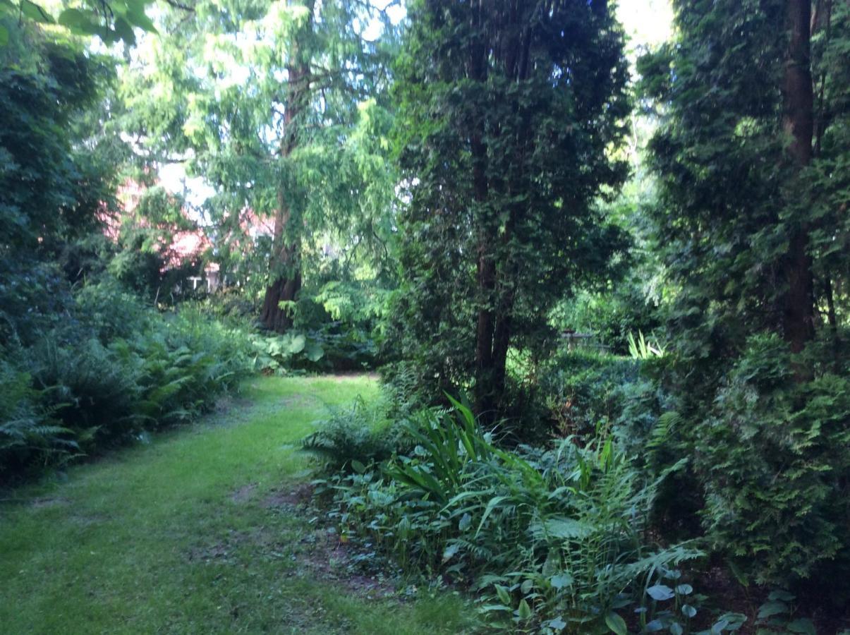 Villa Laurelin, Lothorien Noordwolde  Luaran gambar